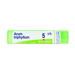 Arum triphyl boi 5ch gr 4g