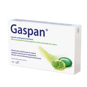 Gaspan 14 capsule molli gastrores