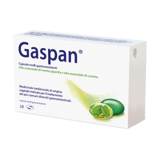 Gaspan 28 capsule molli gastrores