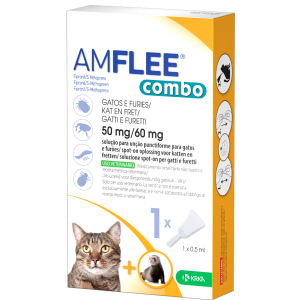 Amflee combo*1pip gatti/furett
