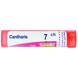Cantharis 7ch gr 4g