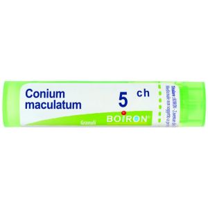 Conium maculatum 5ch gr 4g