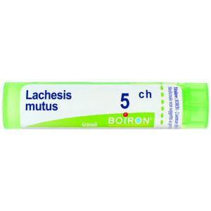 Lachesis mut 5ch gr 4g
