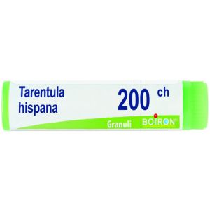 Tarentula hispana 200ch gl 1g