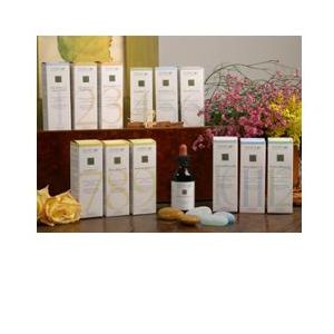 Zef11 calma plant stv