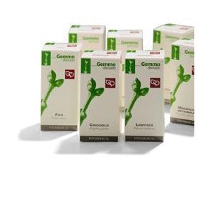 Avena macerato glicerico 100 ml