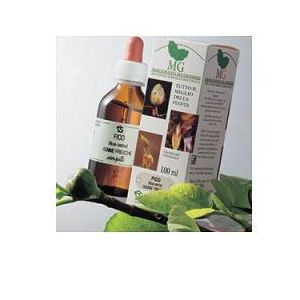 Ribes macerato glicerico 100 ml