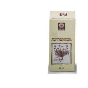 Fico gemme estratto analcolico 50 ml