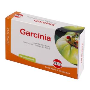Garcinia estratto secco 60 compresse