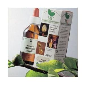 Betulla macerato glicerico 100 ml