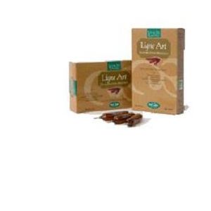 Ligne art 20 bio ampolle bevibili da 15 ml