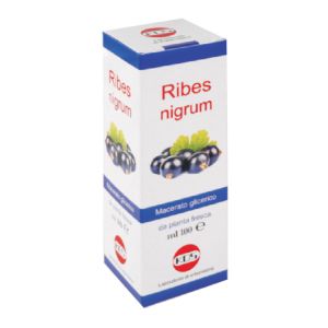 Ribes nigrum macerato glicerico 100 ml gocce