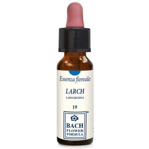 Larch original 10ml  gocce