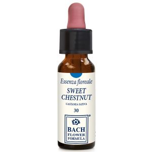Sweet chestnut original 10 ml