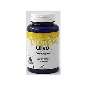 Olivo 60 capsule