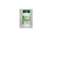 Pulmoplus 60 capsule