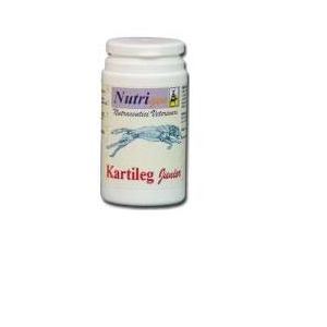 Kartileg junior 60 tavolette nutrigen