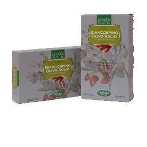 Biancospino olivo aglio biologico 20 ampolle bevibili da 15 ml