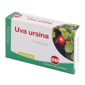 Uva ursina estratto secco 60 compresse