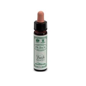 Ainsworths beech 10ml