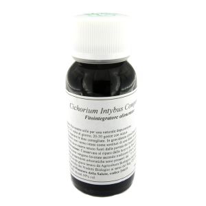 Lvs 05n cichorium intybus compositum