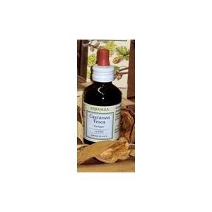 Castanea vesca gemme gemmoderivato bio 50 ml
