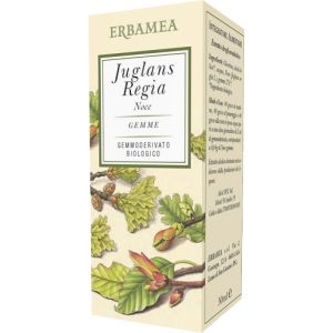 Juglans regia noce bio 50 ml