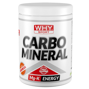 Whysport carbo mineral 400 g