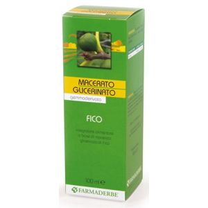 Macerato glicerico fico gemme ficus carica 100 ml