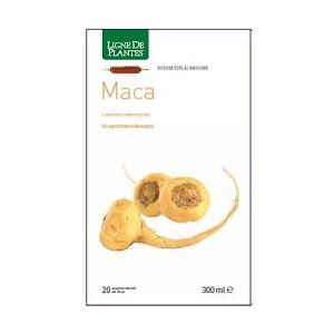 Maca bio 20 ampolle bevibili da 15 ml