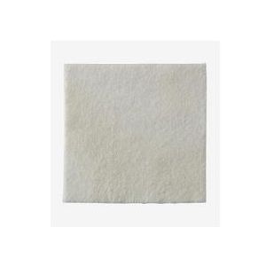 Medicazione biatain alginate in alginato e carbossimetilcellulosa 15x15 cm 10 pezzi