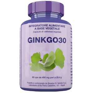 Ginkgo30 60 capsule 27 g