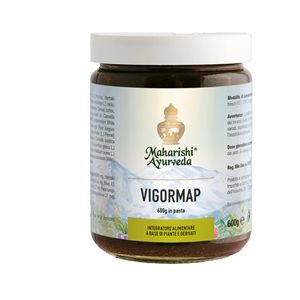 Vigormap pasta 600 g