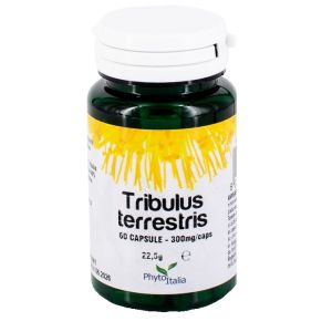 Tribulus terrestris 60 capsule