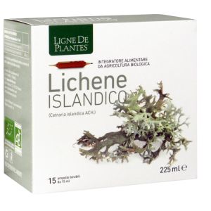 Ligne de plantes lichene islandico 15 ampolle x 15 ml