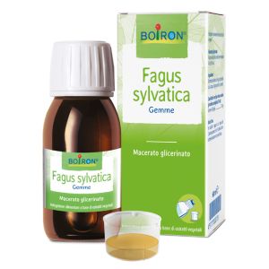Fagus sylvatica boiron macerato glicerico 60 ml