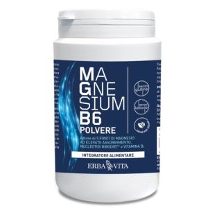 Magnesium b6 polvere 200 g