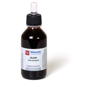 Olivo tintura madre 100 ml bio