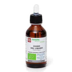 Cedro del libano macerato glicerico 100 ml bio