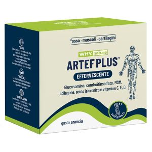 Whynature artef plus 24 bustine