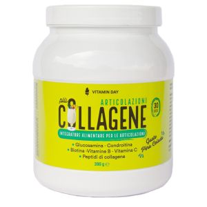Vitamin day collagene articolazioni 390 g